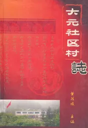 大元社区村志