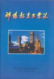 祁阳县直工业志