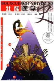 壮族医学史