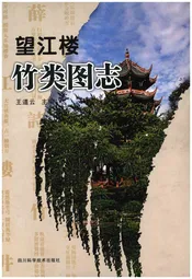 望江楼竹类图志