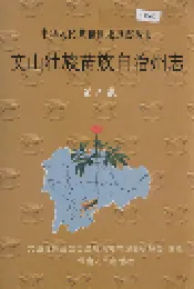 文山壮族苗族自治州志 第六卷