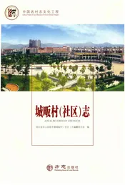 中国名村志丛书·城畈村（社区）志