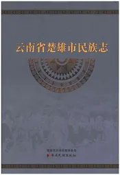 云南省楚雄市民族志