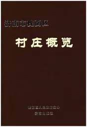济南市槐荫区 村庄概览