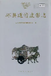 环县道情皮影志