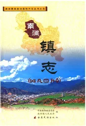 南涧镇志