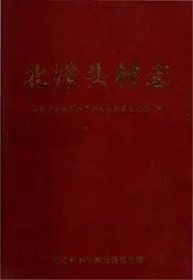 北洋头村志