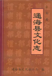 云南省通海县文化志