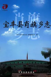宝丰县肖旗乡志