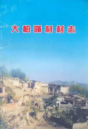 大柏岭村村志