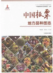 中国板栗地方品种图志