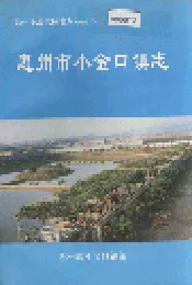 惠州市小金口镇志