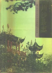 上海市川沙县志