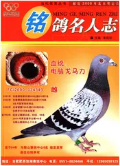 铭鸽名人志