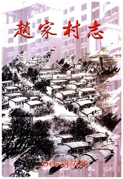 赵家村志