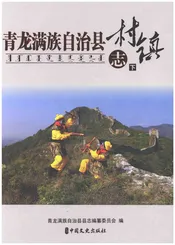 青龙满族自治县村镇志（下）