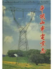 平顶山市电志