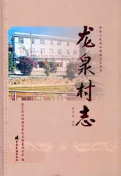 龙泉村志