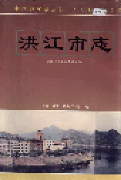 洪江市志