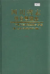 四川省志 综合管理志（下册）