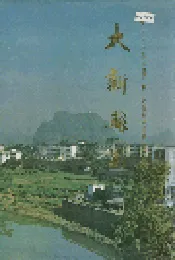 大新县志