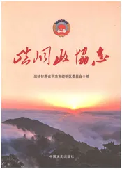 崆峒政协志