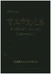 商丘市文化志(1998-2007)