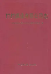 付村煤业有限公司志(1998-2008)