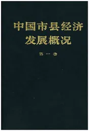 中国市县经济发展概况 一