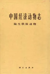 中国经济动物志陆生软体动物