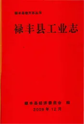 禄丰县工业志