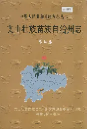 文山壮族苗族自治州志 第三卷