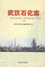 武汉石化志下卷