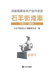 成都高新技术产业开发区石羊街道志1911-2010