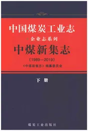 中国煤炭工业志中煤新集志1989-2019（下）
