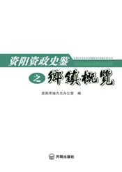 资阳资政史鉴之乡镇概览2017