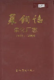 莱钢志 焦化厂志