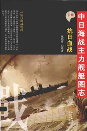 中日海战主力舰艇图志下册抗日血战