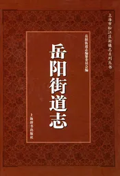 岳阳街道志