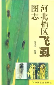 河北稻区飞虱图志