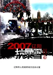 2007辽阳抗暴雪图志