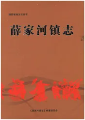 薛家河镇志
