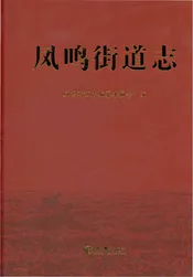 凤鸣街道志