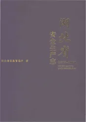湖北省安全生产志1949-2013