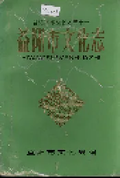 益阳市文化志