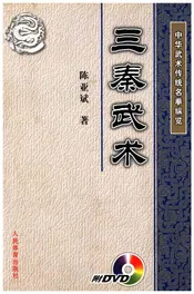 中华武术传统名拳纵览 三秦武术