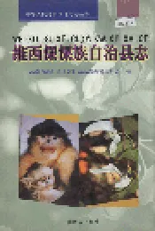 维西傈僳族自治县志