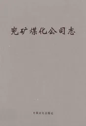 兖矿煤化公司志