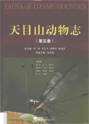 天目山动物志  第5卷