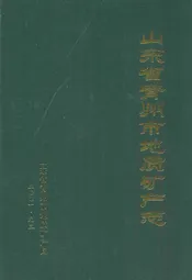 山东省青州市地质矿产志